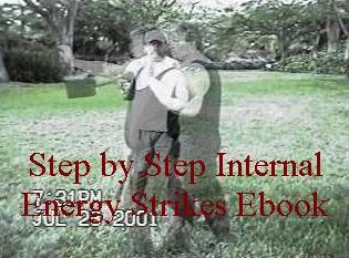 Previous custom martial arts ebook on internal energy strikes with the bonus section taking strikes and coming back for more